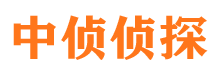 宣威市私家侦探